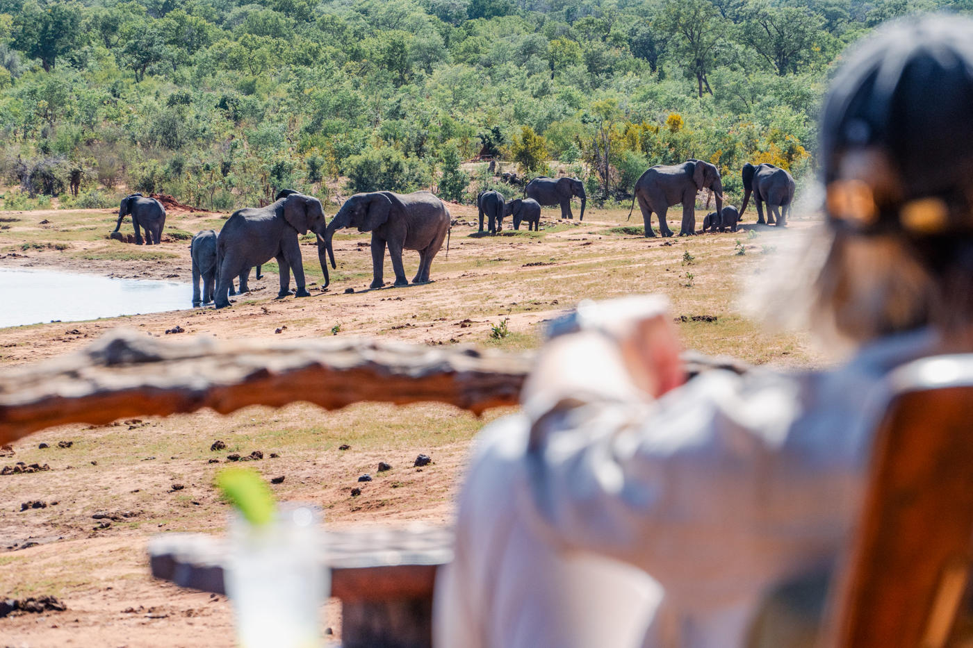 Ivory Lodge thumbnail 12